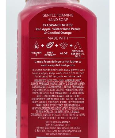 Bath & Body Works Holiday Trio Gentle Foaming Hand Soap Set - Winter Candy Apple Vanilla Bean Noel Champagne Toast - Shop Internationally - Buy Online on GoSupps.com