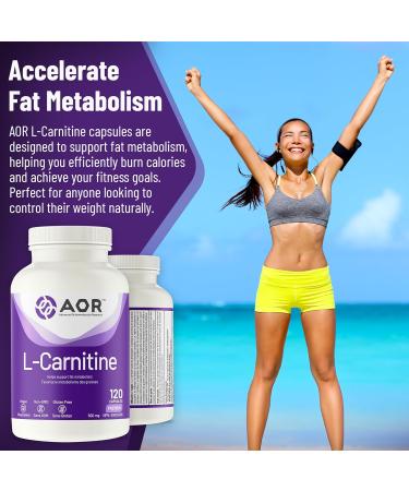 AOR - L-Carnitine 500mg 120 Capsules Pure L-Carnitine Tartrate Supports Energy Metabolism Muscle Recovery & Athletic Performance Promotes Fitness Goals L-Carnitine Capsules for Active Lifestyle - Buy Online on GoSupps.com
