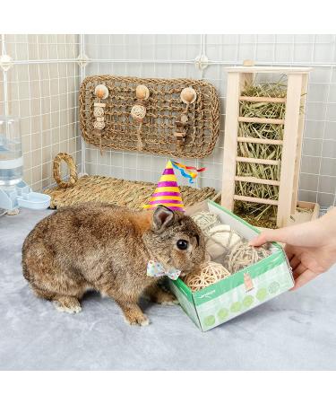 Small Animals Play Balls & Treats for Rabbits Guinea Pigs Chinchilla - Pack of 6 - Buy Online on GoSupps.com