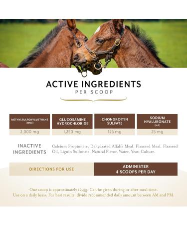 Equithrive Classic Joint Supplement Pellets for Horses - Glucosamine Chondroitin Hyaluronic Acid & MSM - 10 lbs - Optimal Joint Health for Senior Horses - Buy Online on GoSupps.com