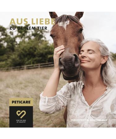 Peticare Detox-Mix Powder for Horses | Supports Liver Kidney & Intestinal Health | Natural Detoxification with Vegetables MSM & Vitamin B6 | Pethorse Health 400g - Buy Online on GoSupps.com