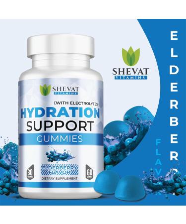 Electrolyte Gummies for Hydration - Vegan Elderberry Flavor (60 Count) | Non-GMO Gluten Free Perfect for Runners & Stamina Support | Made in the USA - Buy Online on GoSupps.com