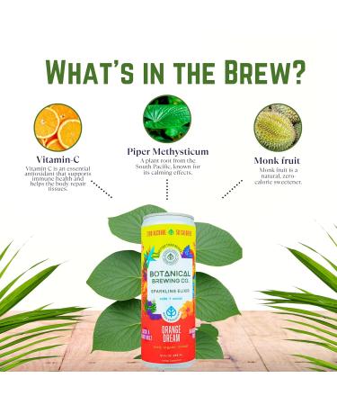 Botanical Brewing Peach & Orange Mix Duo - Kava Drink with Kava Root Extract | Refreshing & Sparkling Kava Seltzer | Alcohol-Free Vegan & Low-Calorie Naturally Sweetened Agave 12 Fl oz Cans 4-Pack Peach & Orange Pack of 4 - Buy Online on GoSupps.com