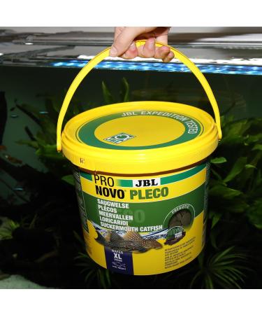 JBL Pronovo Pleco Wafer - XL Fish Feed for Suction Catfish (15-40 cm) | 2.8 kg Pack | International Shipping - Buy Online on GoSupps.com