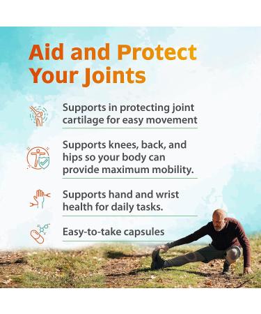 Zenith Labs Joint N-11: Advanced Joint Health Supplement - Buy Online on GoSupps.com