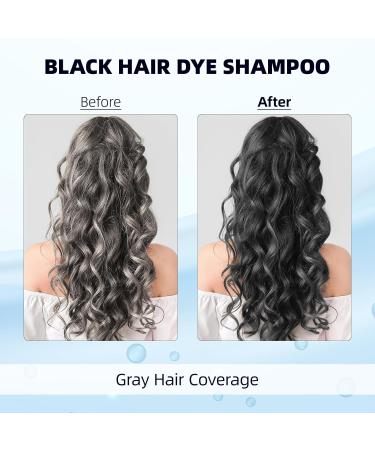 Evil Black hair color shampoo for gray hair black hair dye shampoo 3 in 1semipermanent hair color shampoo for women and men 100 gray coverage - Buy Online on GoSupps.com