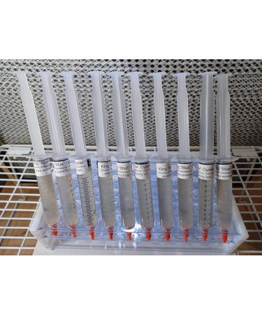 Generic King Blue Oyster (Pleurotus Ostreatus VAR. Columbinus) Liquid Culture Syringe (10CCS) for Gourmet Mushroom Cultivation Clear - Buy Online on GoSupps.com