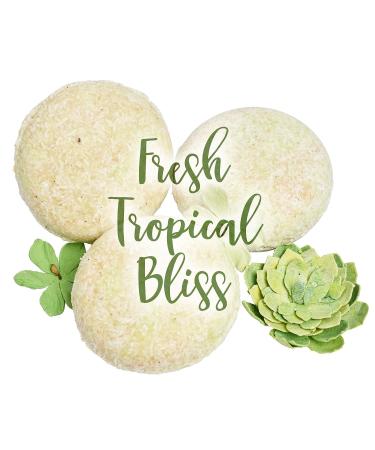 Sweet & Sassy Shampoo + Conditioner Bars - Natural & Organic, SLS-Free, Color-Safe - Coconut Lime Scent - Made in USA - Buy Online on GoSupps.com