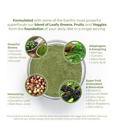 Red's Kitchen Sink Power Greens Powder - Daily Greens Superfood Powder - Fruity Veggie & Green Leafy Smoothie Drink Mix - Superfoods Maca Root Spirulina Chlorella & More (200 Grams) - Buy Online on GoSupps.com