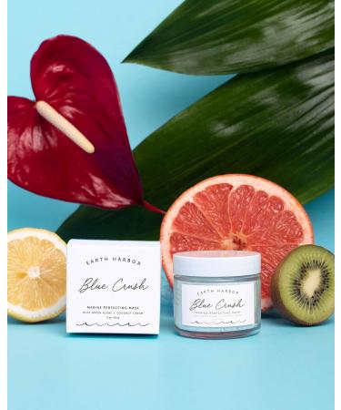 Earth Harbor BLUE CRUSH Marine Perfecting Mask - Natural & Nontoxic Algae Exfoliant | Nourishing Coconut Cream & Indigo | 2 oz - Shop Internationally - Buy Online on GoSupps.com