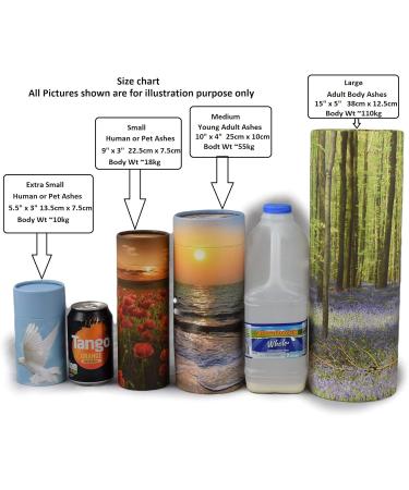 Scattering Ashes Urn Scatter Tube Eco-friendly Biodegradable Crermation Urn (Poppy Sunset Medium) - Buy Online on GoSupps.com