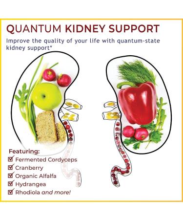 Quantum Kidney Support with Fermented Cordyceps - 60 Plant-Based Capsules - Buy Online on GoSupps.com
