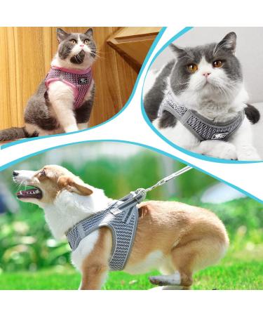 Adjustable Cat Dishes with Leash - Outbreak-Proof Reflective Tableware Set for Cats & Small Dogs (Gray XS) - Buy Online on GoSupps.com