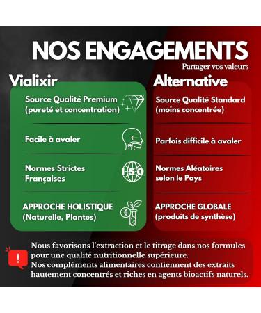 Panax Korean Red Ginseng | Extra Strong 6000mg/day 60 Capsules | Energy Vigor Blood Circulation Concentration | Ginseng (10:1 Ratio) + Eleutherococcus + Rhodiola | French Quality - Buy Online on GoSupps.com