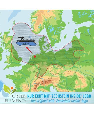 Zechstein Magnesium Oil PUR - 100ml Natural Brine Spray for Muscle Relief & Relaxation | International Shipping Available - Buy Online on GoSupps.com