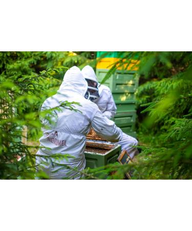 Nordmel Pure Natural Soft Honey 2 KG (8 * 250 gram Cups) - Unpasteurised Unfiltered Crystallized Natural Honey - Buy Online on GoSupps.com