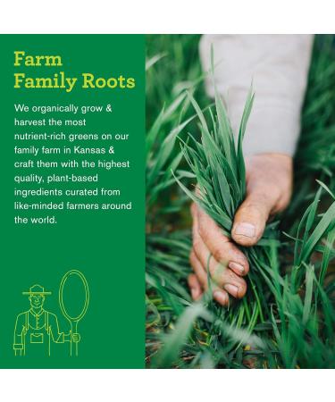 Amazing Grass Green Superfood Antioxidant Organic Powder with Greens & Acai Flavor: Sweet Berry 30 Servings 7.4 Ounces - Buy Online on GoSupps.com