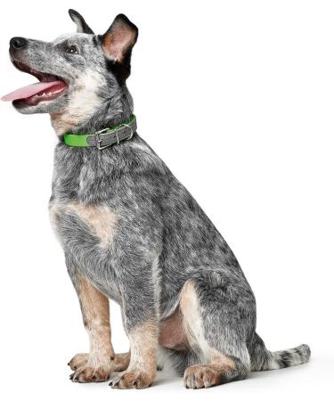HUNTER Convenience Comfort Dog Collar - Plastic & Neoprene 60L Apple Green - International Shipping Available - Buy Online on GoSupps.com