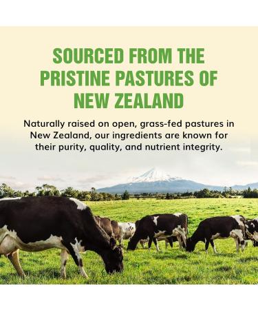Primal Being Grassfed Beef Cartilage Collagen (Type I-V & XI)- Supports Hair Skin Nails Joint Health Immunity Digestion Post Exercise Recovery - 120 Capsules 3000 mg per Serving - Buy Online on GoSupps.com