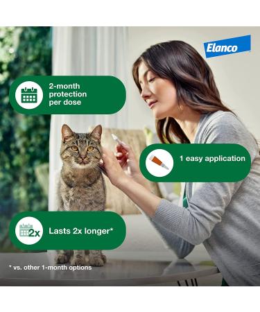 Advantage XD Flea Prevention for Small Cats (1.8-9 lbs) - Long-Lasting Treatment - 2 Pack - Buy Online on GoSupps.com
