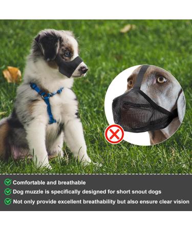 Soft Muzzle for Short Snout Dogs - Ideal for Chihuahua Shih Tzu & Small Breeds | Anti-Bite & Barking Solution | Snout Size 14-17.8cm - Buy Online on GoSupps.com