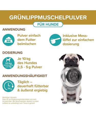 Gr nlippmussel Dog Supplement - 250g Natural Green Lip Powder for Joint Support - Test Winner for Dogs - High Acceptance Green Lip Shell Powder - Buy Online on GoSupps.com