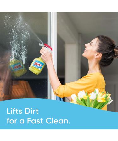 Windex Multi-Surface Cleaner & Disinfectant Refill - Citrus Fresh 32 fl oz for International Shipping - Buy Online on GoSupps.com