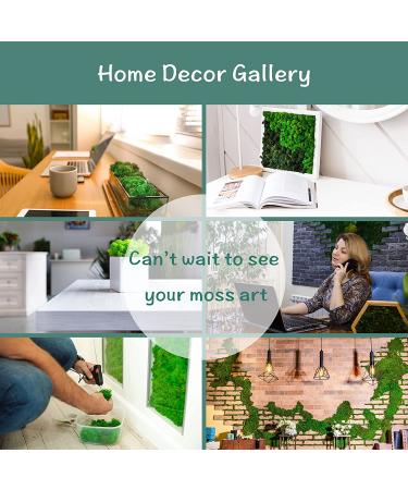 Neptten Preserved Moss for Fairy Garden - Versatile Chartreuse 3oz Decor Moss for Limitless Creativity! - Buy Online on GoSupps.com