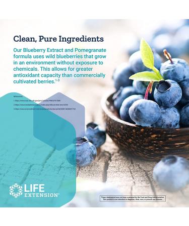 Life Extension Blueberry Extract & Pomegranate - 60 Vegetarian Capsules for Antioxidant Support - Buy Online on GoSupps.com