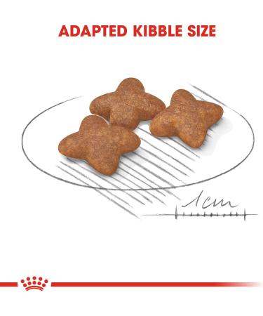 Royal Canin Dog Food Mini Adult 2 kg Chicken 2 kg (Pack of 1) - Buy Online on GoSupps.com
