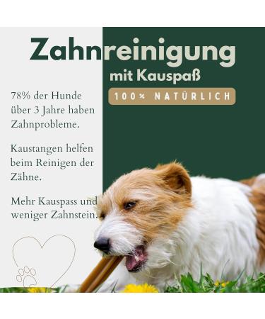 BREERs - Beef Head Hide Dried for Dogs - 25 cm - 2 kg - Grain Free - German Made - Chew Treats for Large Dogs - Buy Online on GoSupps.com