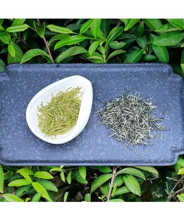 Spring Green Tea Chinese Maojian Tea Strong Fragrant Jasmine Green Tea for Spring Summer Green Tea Clear Flavor Slightly Curled Tea Leaves Natural Chinese Tea for Morning Afternoon Free Time lo - Buy Online on GoSupps.com