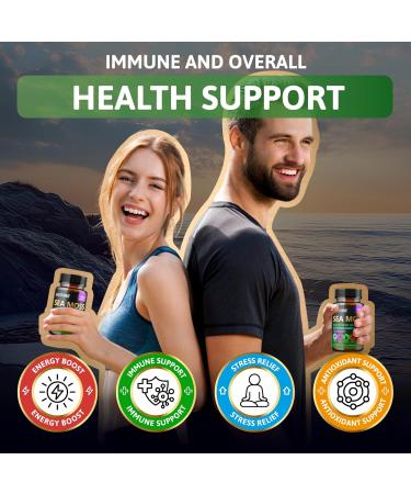 Shilajit Ashwagandha Capsules & Sea Moss Capsules Black Seed Oil Capsules Ashwagandha Turmeric - Shilajit for Woman Men Immune Support Rhodiola Rosea Shilajit 60 Capsules & Sea Moss 60 Capsules Set - Buy Online on GoSupps.com