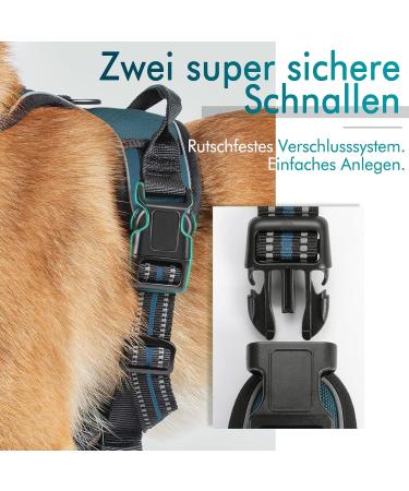 Rabbitgoo No-Pull Dog Harness for Medium & Large Dogs - Breathable Reflective Anti-Training Control - Dark Green (1 Pack) - Buy Online on GoSupps.com