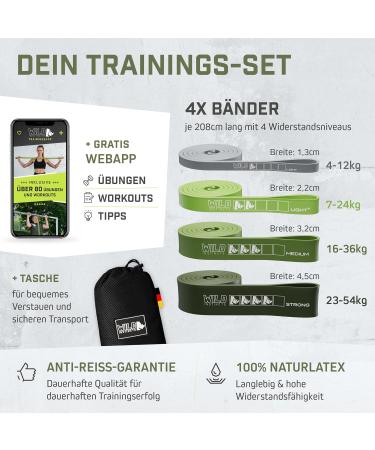 Wild Instincts Premium Resistance Straps - Strength Training & Pull-Up Bands Set for CrossFit Stretching & Fitness - 4 Pack with App & Carry Bag - Buy Online on GoSupps.com