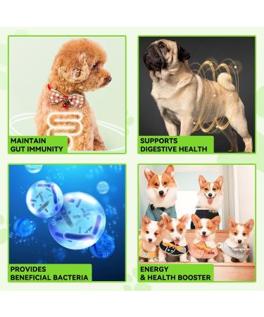 Probiotic for Dogs Natural 3 in 1 Dog Probiotic Drops Helps Relieve Diarrhea Supports Gut Health Itchy Skin Allergies Immunity Digestive Enzyme for Dog Supplement Bacon Flavor - 2 fl.oz - Buy Online on GoSupps.com