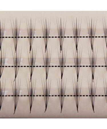 Scala Pro 3D Mink Phoenix Tail False Eyelashes Cluster 5 Root C Curl Extension - 13MM - Buy Online on GoSupps.com