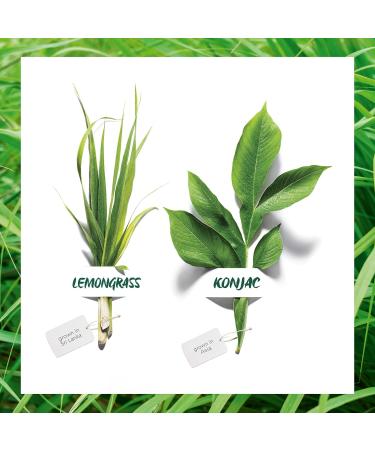 Garnier Organic Lemongrass Gel Wash and Konjac Sponge Deep Cleansing & Exfoliating Set for Healthy Glowing Skin - Suitable for Normal Combination & Sensitive Skin - Buy Online on GoSupps.com