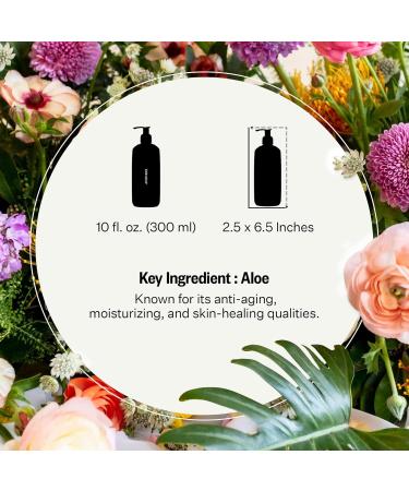 APOTHEKE Scented Hand & Body Lotion Canvas - 10 Fl Oz Nourishing Body Moisturizer Cream for Dry Skin - Gentle Daily Skincare for Men & Women with Natural Ingredients All Skin Types - Buy Online on GoSupps.com