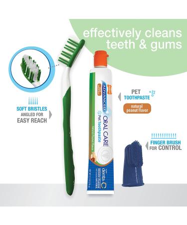 Nylabone Advanced Oral Care Dental Kits for Dogs & Cats - Adult Dog Peanut Butter - 3 Count - Buy Online on GoSupps.com