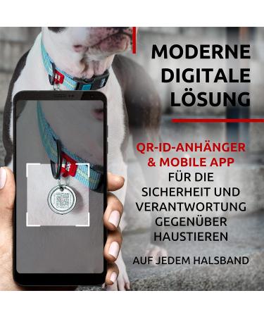 Waudog Reflective Dog Collar for Big Medium & Small Dogs - Adjustable Nylon Collars in Bright Blue (35-58 cm 25 mm Width) | International Shipping - Buy Online on GoSupps.com