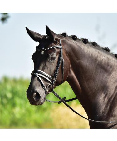 BUSSE COMFORT Black/Rhinestone-Multi Bridle for Thoroughbreds - Premium International Shipping - Buy Online on GoSupps.com