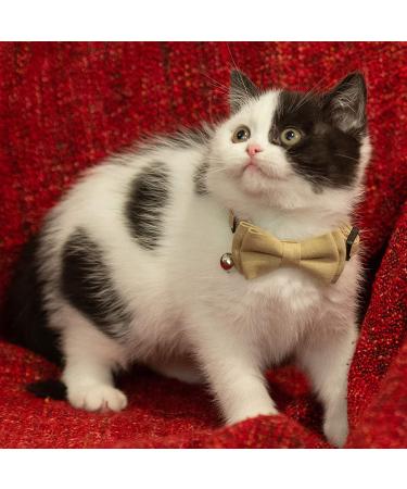 Gyapet Cat Collar Breakaway Bowtie Safety Set - Adjustable Kitten Puppy Collars with Bell - Solid Plaid Colors (Pink & Blue) - 2pcs - Buy Online on GoSupps.com