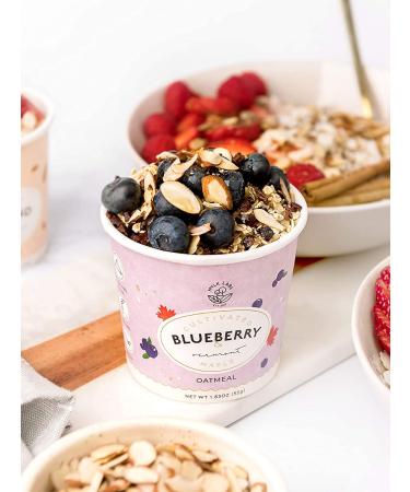 Mylk Labs Blueberry Maple Instant Oatmeal - Gluten Free, High Fiber, High Protein, Low Sugar Breakfast - 6 Pack of 1.83 oz Packets - Buy Online on GoSupps.com