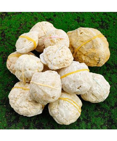 Pair of Agate Geode Natural Reiki Rock Used for Clarity and Purpose Crystal Cluster Gemstone Specimen for Ornaments D cor Artwork Gifts 100-200g Gift (Size : 200-260g) - Buy Online on GoSupps.com