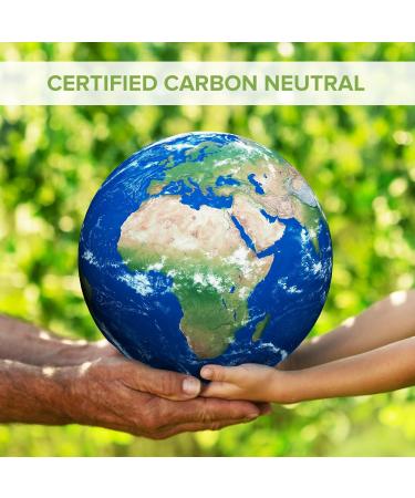 Milk Thistle Tablets 80% Silymarin | High Strength 7000mg Per Serving | Vegan Friendly Natural Health Supplement | Made in The UK (120 Tablets) Unflavoured 1 count (Pack of 120) - Buy Online on GoSupps.com