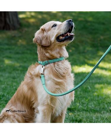 Collardirect Handmade Round Leather Dog Collar - Soft Padded Adjustable for Small & Big Dogs Puppies & Cats - Available in Black Pink Red Purple Blue Mint Green (18-20 cm) - Buy Online on GoSupps.com