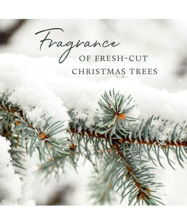 Thymes Frasier Fir Laundry Fragrance Oil – Scented Dryer Supplies for Fresh-Smelling Laundry (0.5 fl oz - Buy Online on GoSupps.com