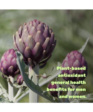 Apigenin 100mg Per Serving 240 Capsules Raw Plant Extract from Chamomile Flower Active Bioflavonoids & Antioxidants Sleep & Relaxation Supplement Non-GMO 240 Count (Pack of 1) - Buy Online on GoSupps.com