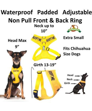 Dexil Limited Yellow Color Coded Non-Pull Dog Harness - XS 13-19 Inch Chest/Girth - Buy Online on GoSupps.com